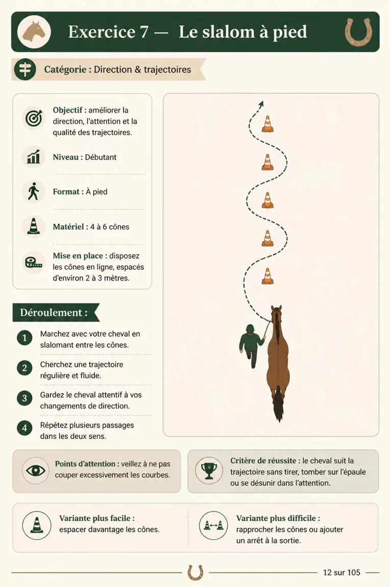 Fiche d'exercice 5